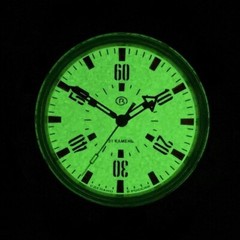 Vostok Amphibia 16032V Watch Automatic Pripyat Chernobyl USA Seller