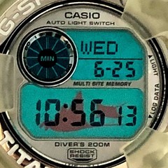 G SHOCK DW 9900WC 7T FROGMAN Skeleton Double Manta Silver White Logo Released in